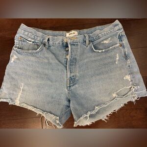 Agolde Parker Long Shorts